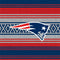 NFL New England Patriots Trailblazer Wii (Includes 1 Controller) Skin